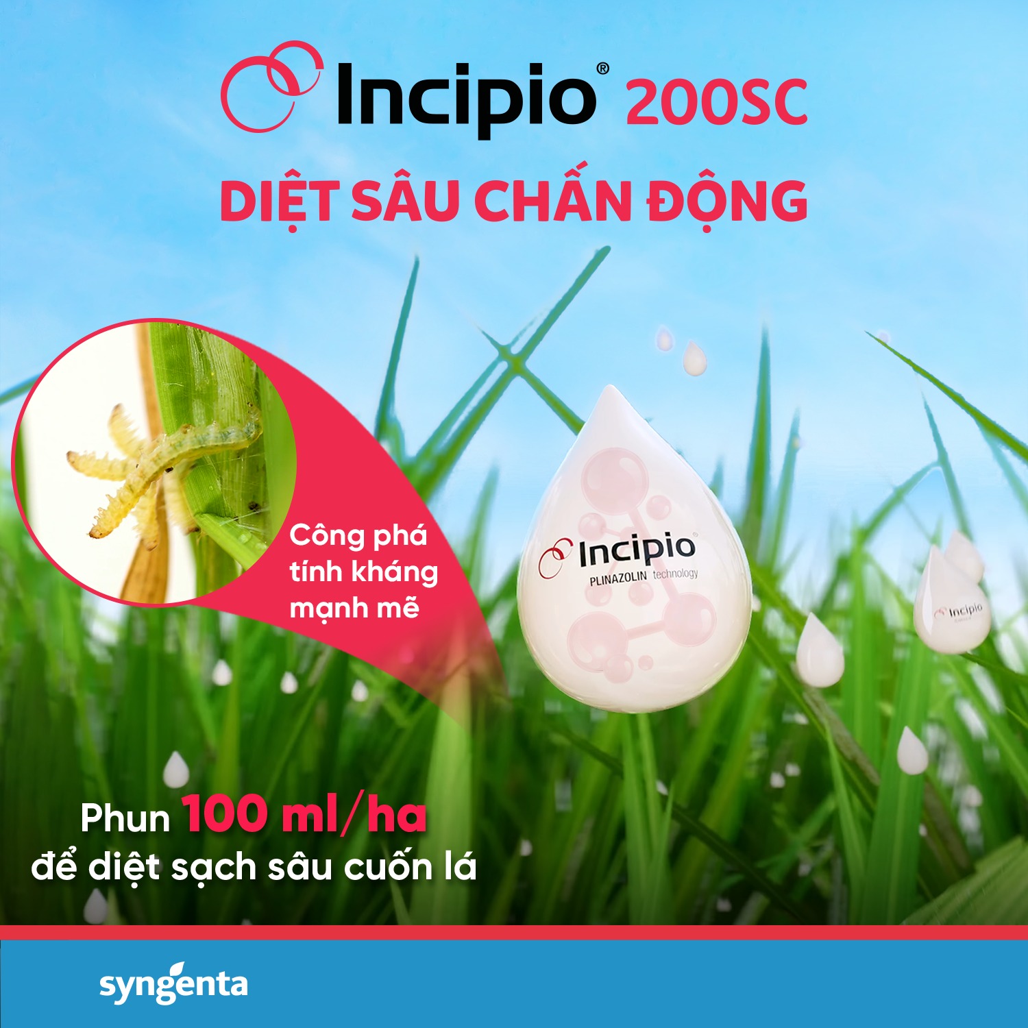 Incipio® 200SC - Diệt sâu chấn động